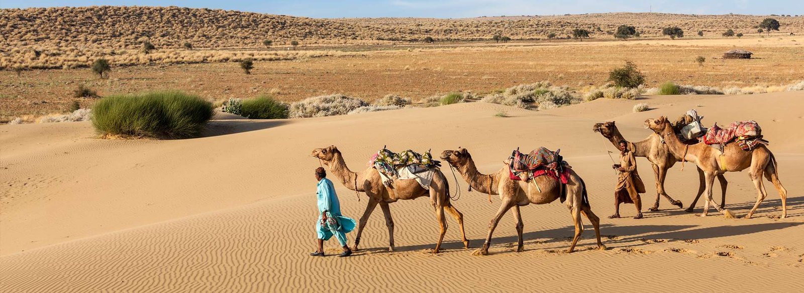 Best_of_Rajasthan1